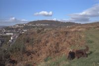 Click HERE for full size photo of Pontypridd